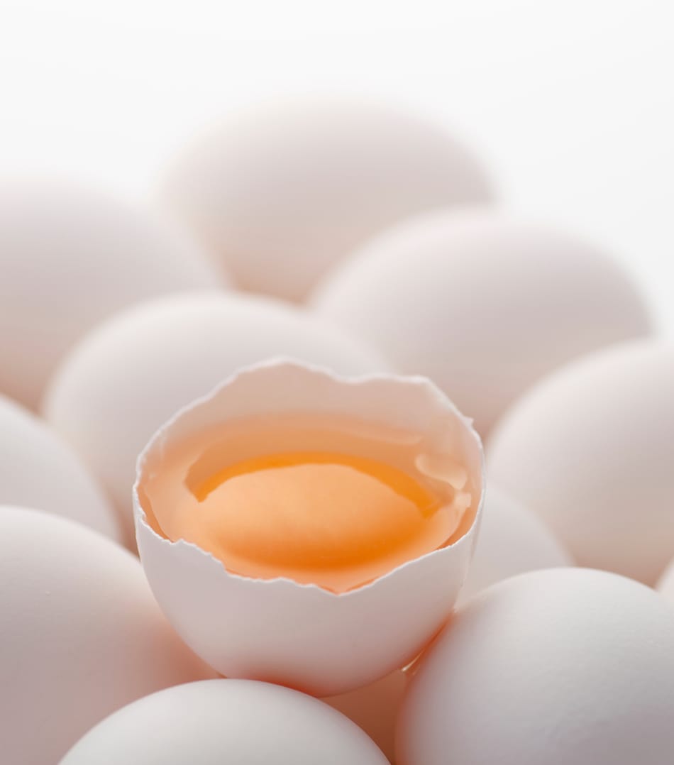 ケランドンメインビジュアル1